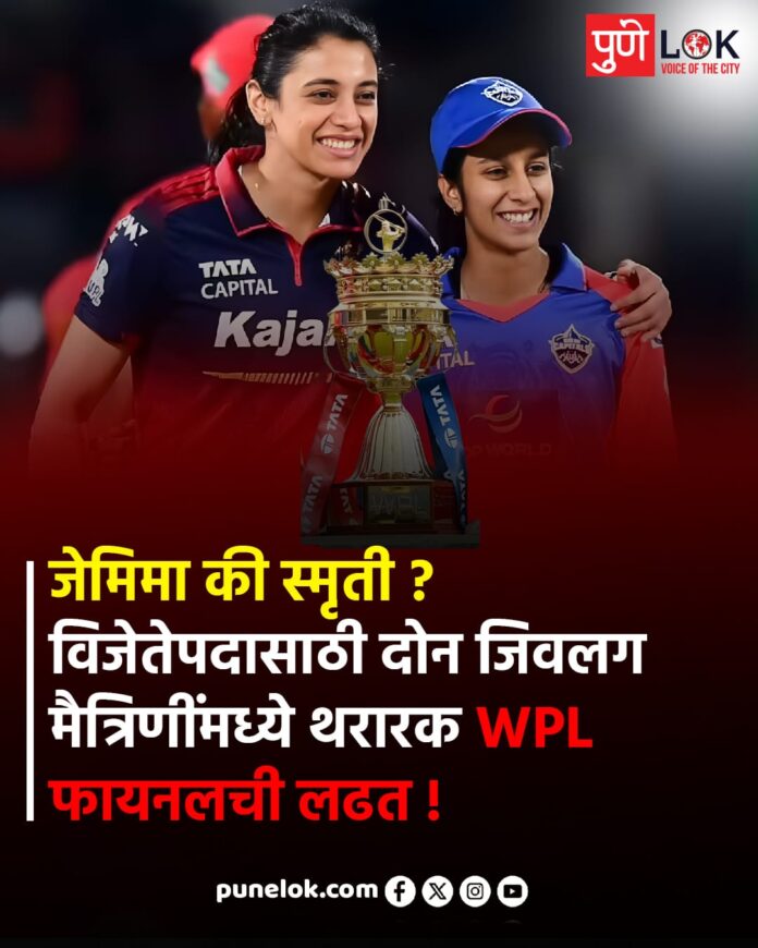 WhatsApp Image 2026-02-05 at 11.36.09