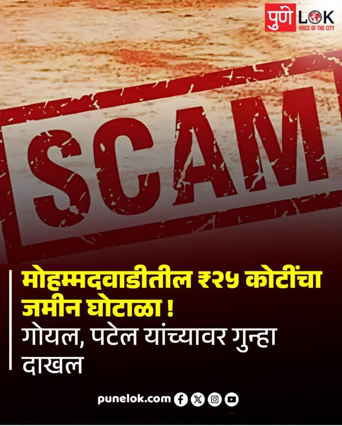 WhatsApp Image 2026-02-08 at 11.14.22